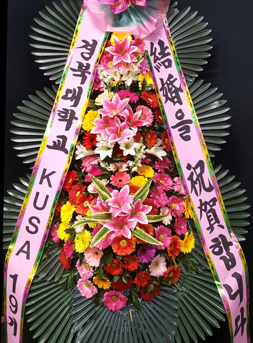ST-FA248