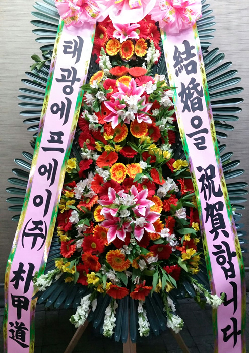 ST-FA248