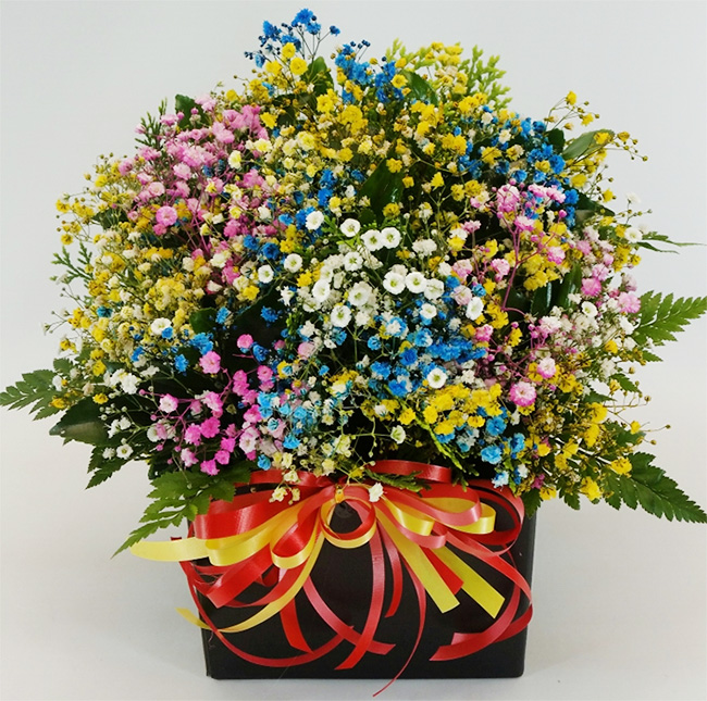 ST-B264