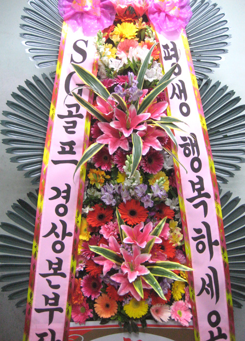 ST-FA248