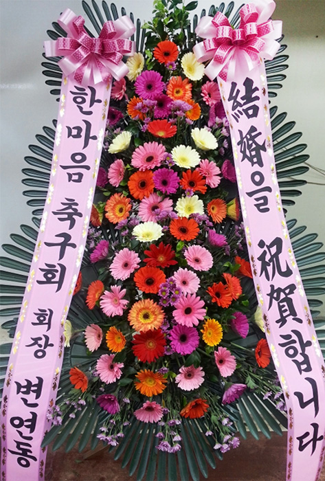 ST-FA248