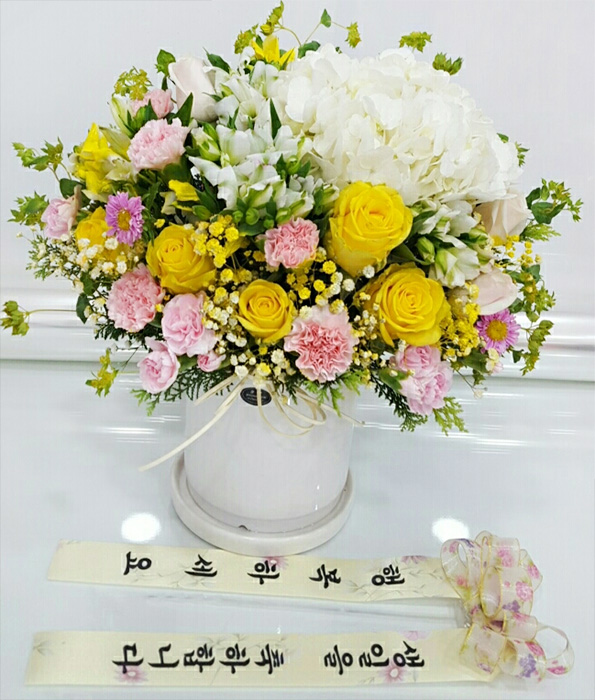 ST-B288