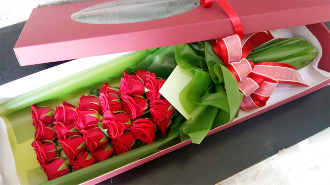 ST-B134