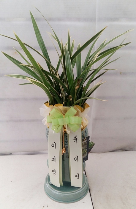 ST-E426