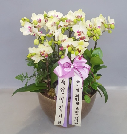ST-H288