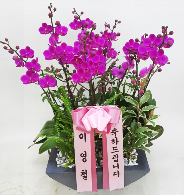 ST-H334