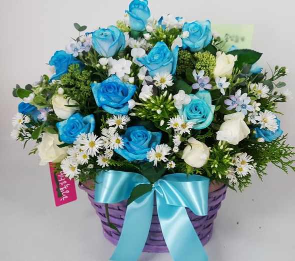 ST-A905