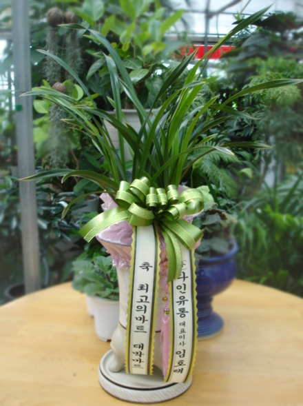 ST-E465