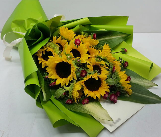 ST-C458
