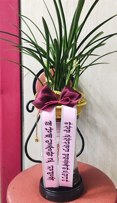 ST-E479