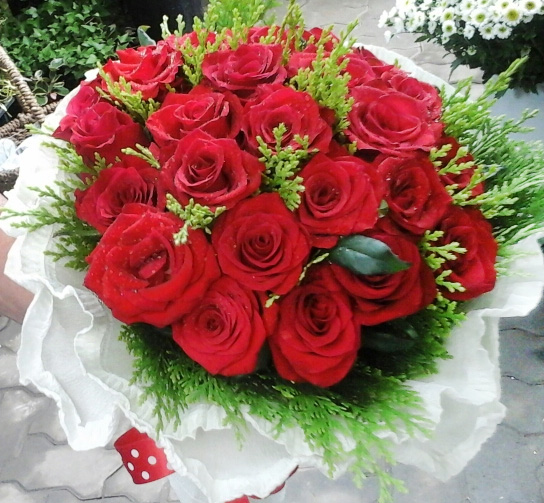 ST-C157