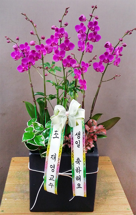 ST-H334