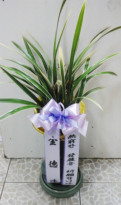ST-E488
