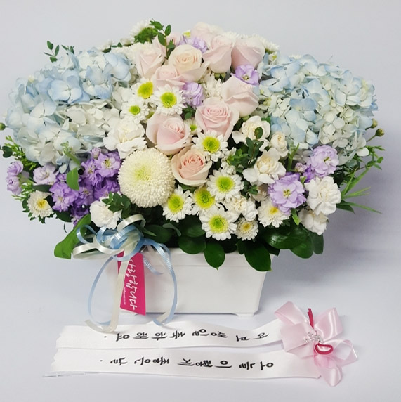 ST-A1661