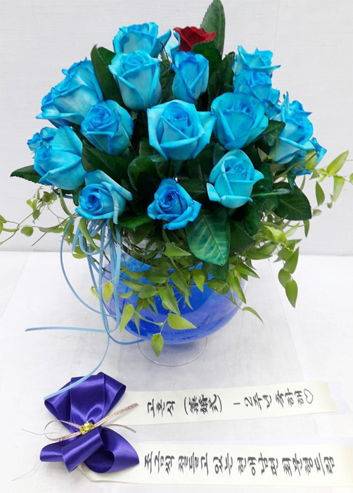 ST-C238