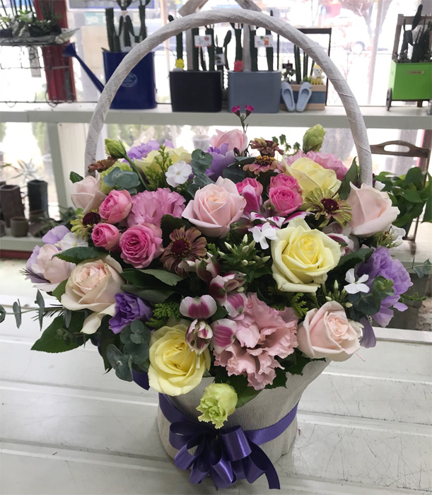 ST-A1113