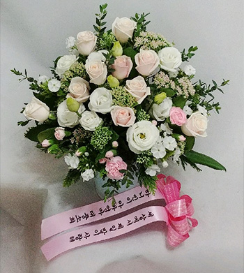ST-C423