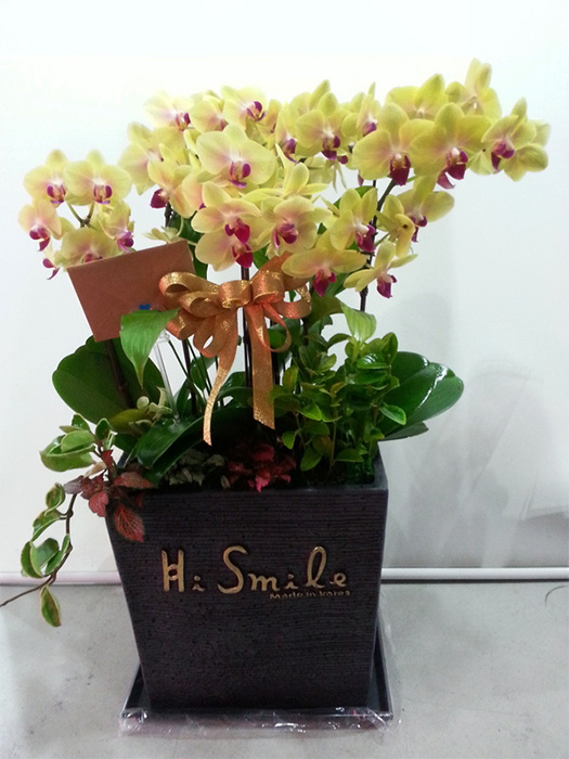 ST-H400
