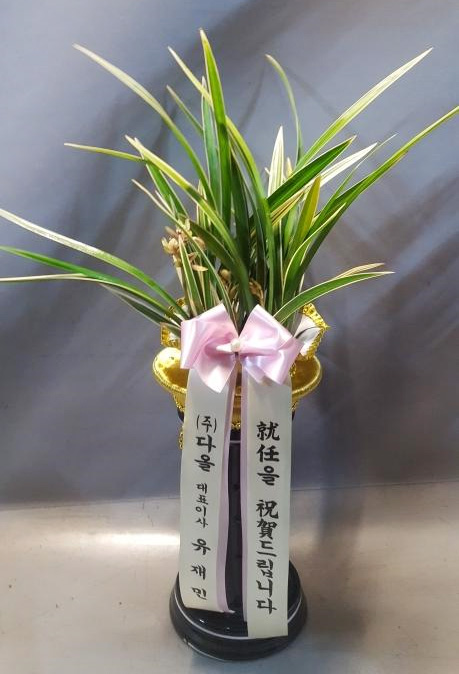 ST-E479