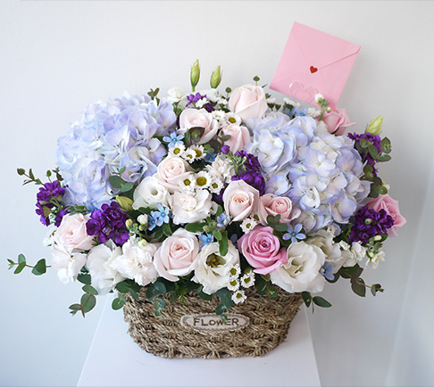 ST-A1579