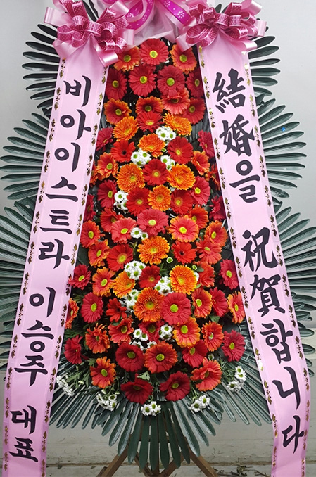 ST-FA248
