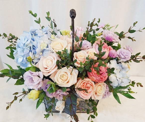 ST-A1661