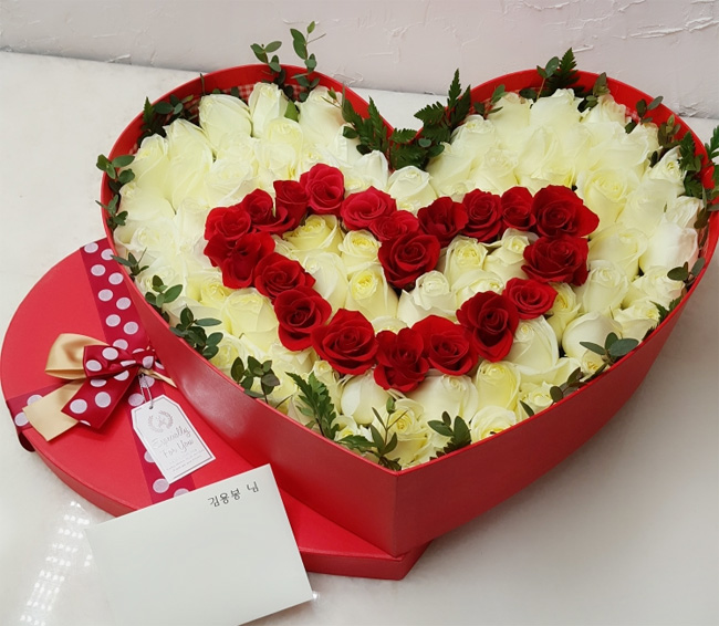 ST-B254