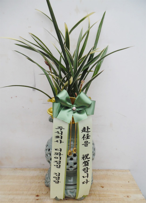 ST-E494