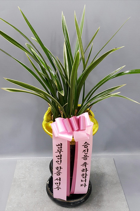 ST-E372