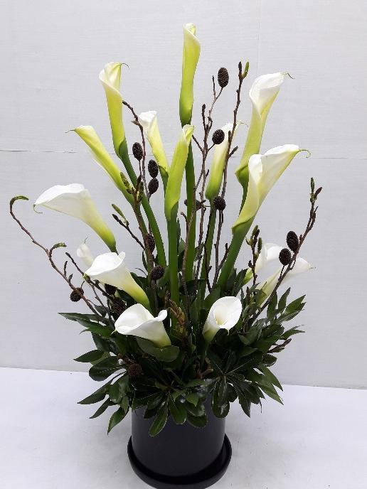 ST-B308