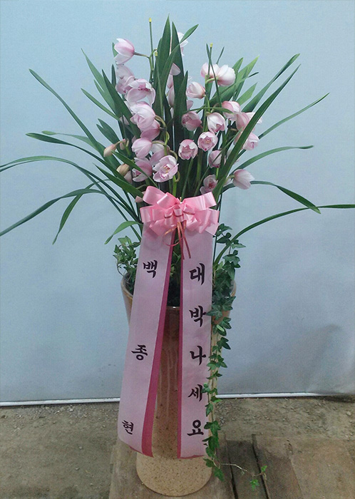 ST-H366