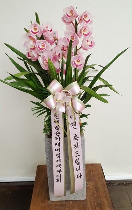 ST-H413