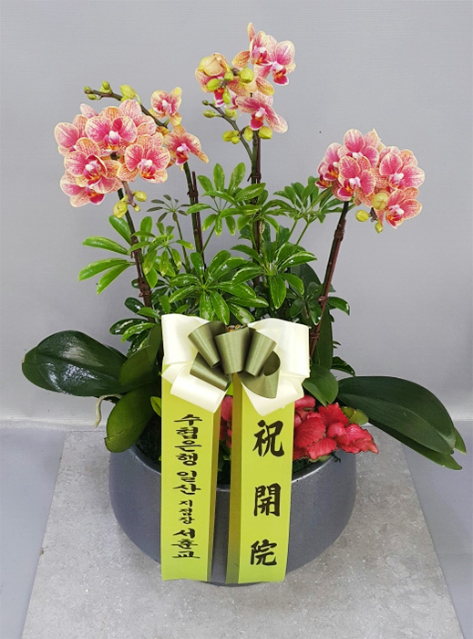 ST-H431