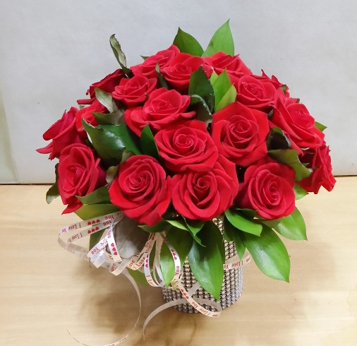 ST-C384