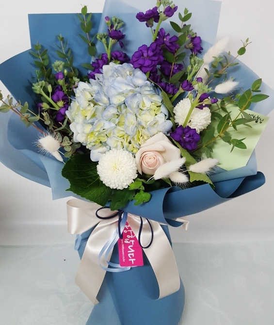 ST-C463