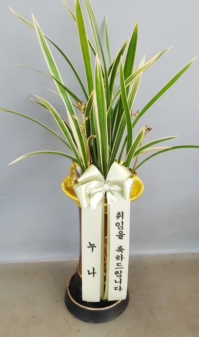 ST-E497