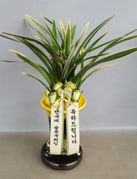 ST-E408