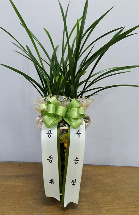ST-E185