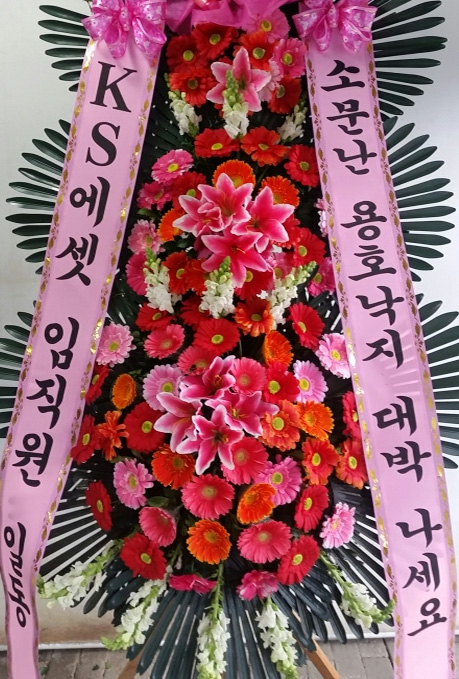 ST-FA250