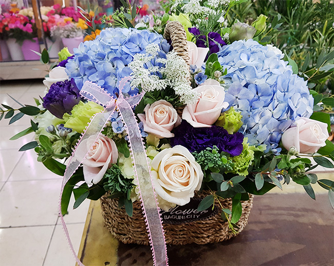 ST-A1579