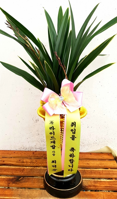 ST-E492