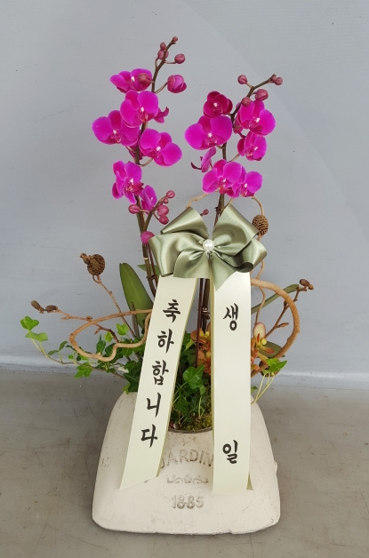 ST-H446