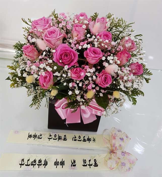 ST-B279