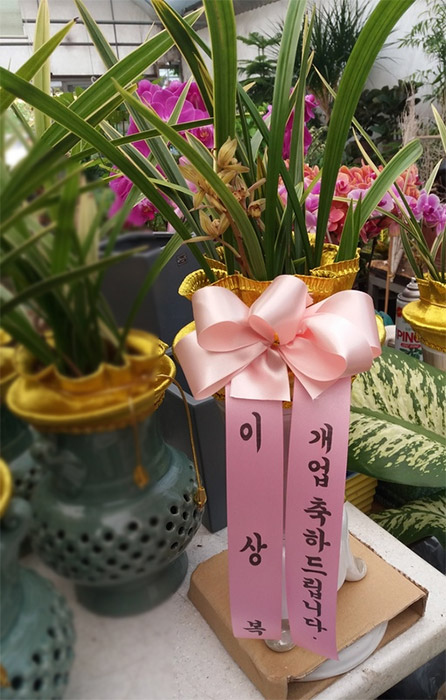 ST-E479