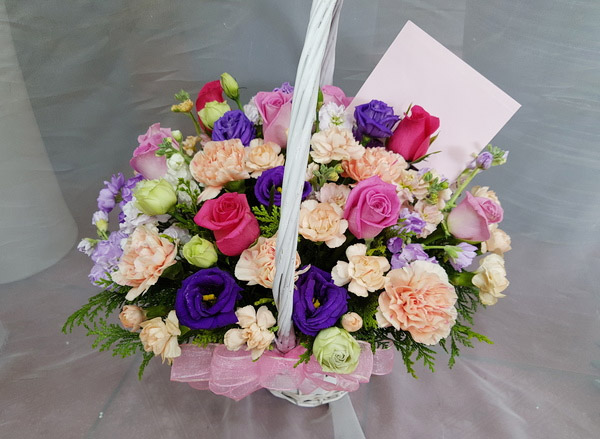 ST-A1648