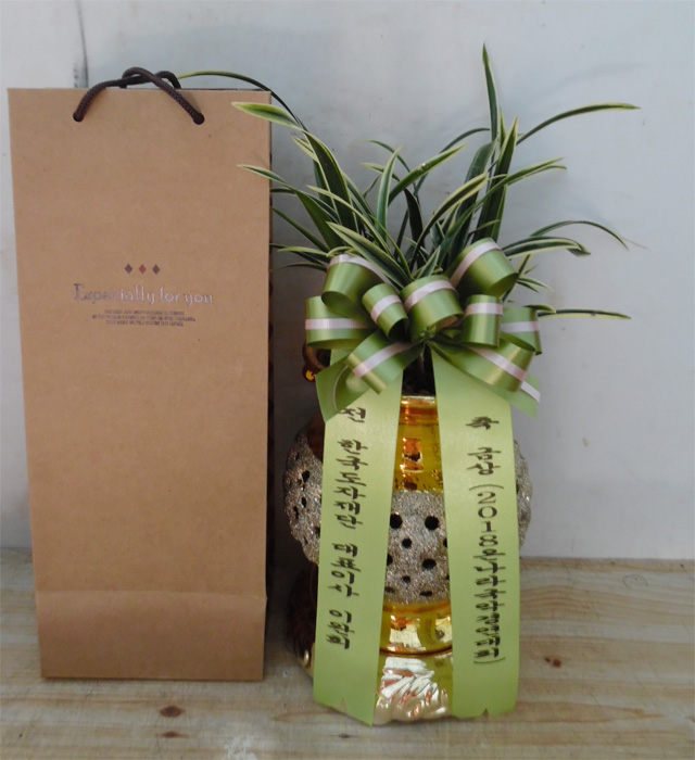 ST-E510