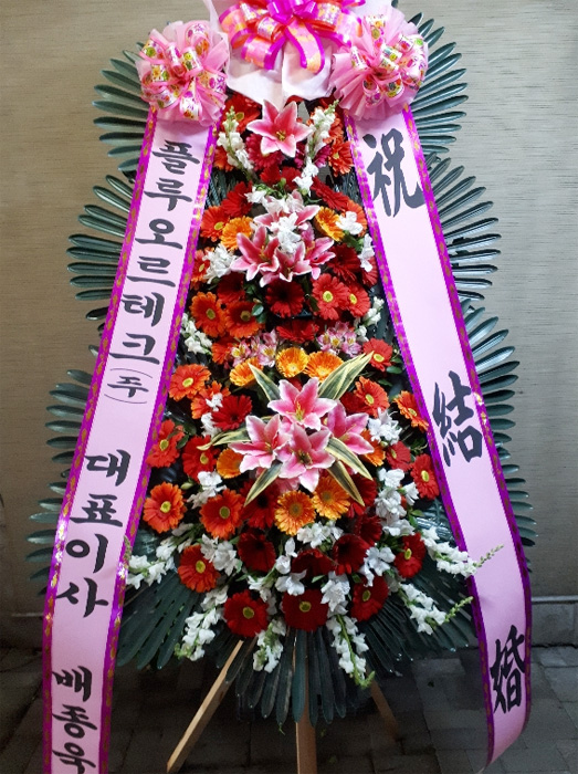 ST-FA248