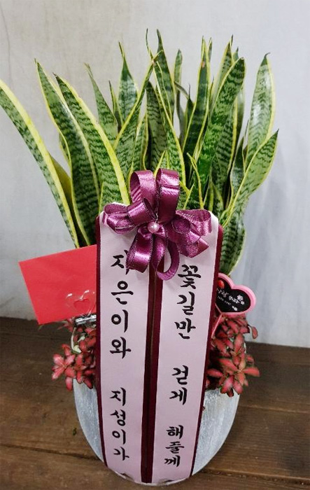 ST-J126
