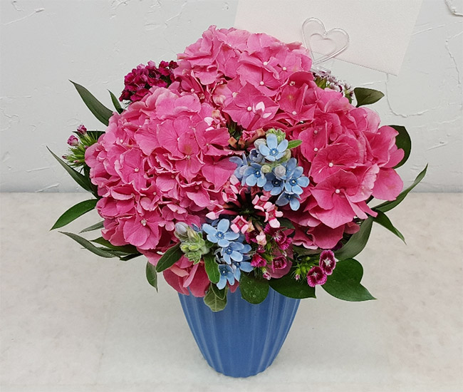 ST-C403