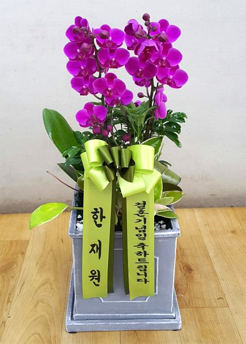 ST-H416